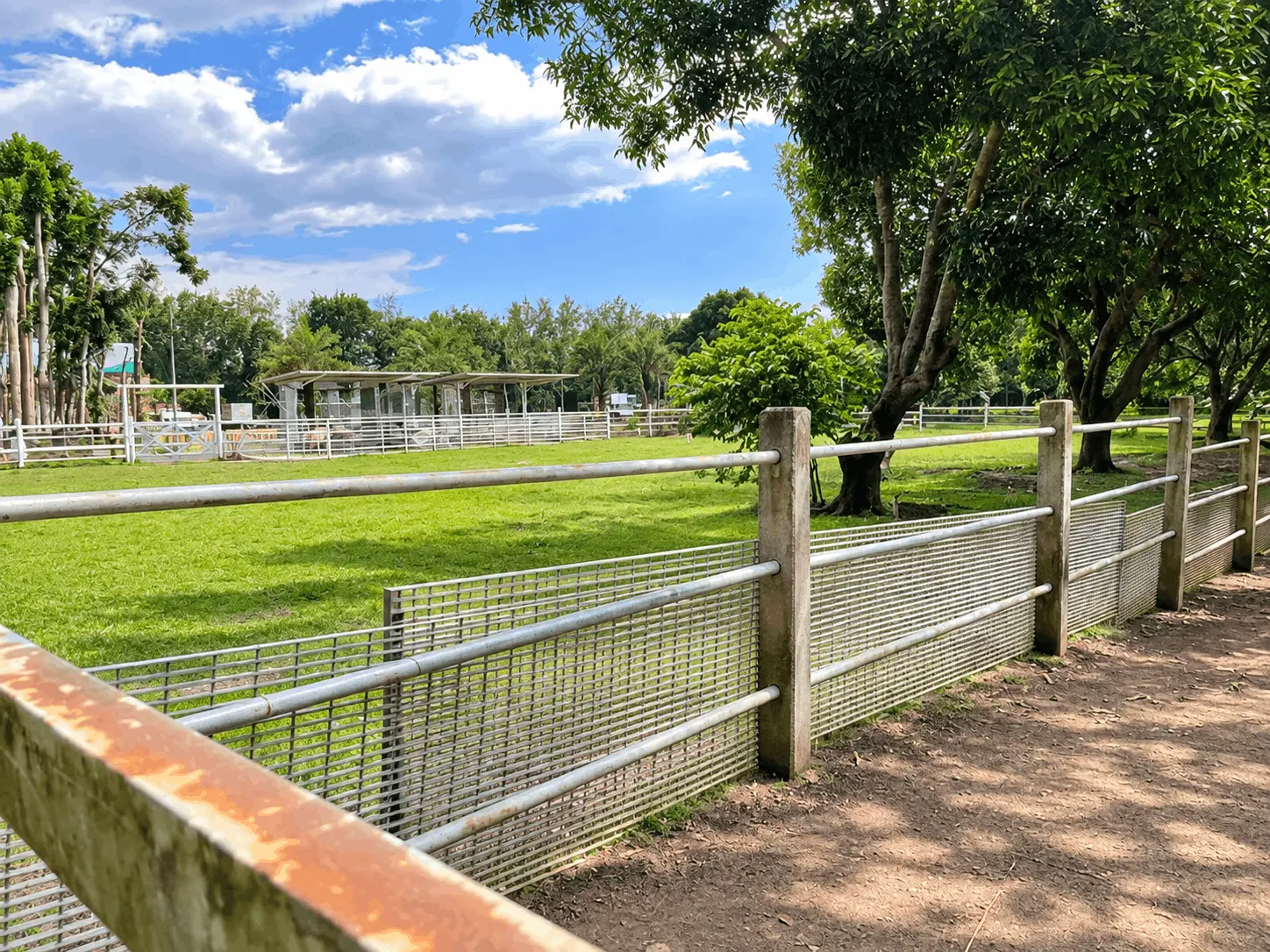 Fenced paddocks and grounds at Rancho Blanco's working farm
