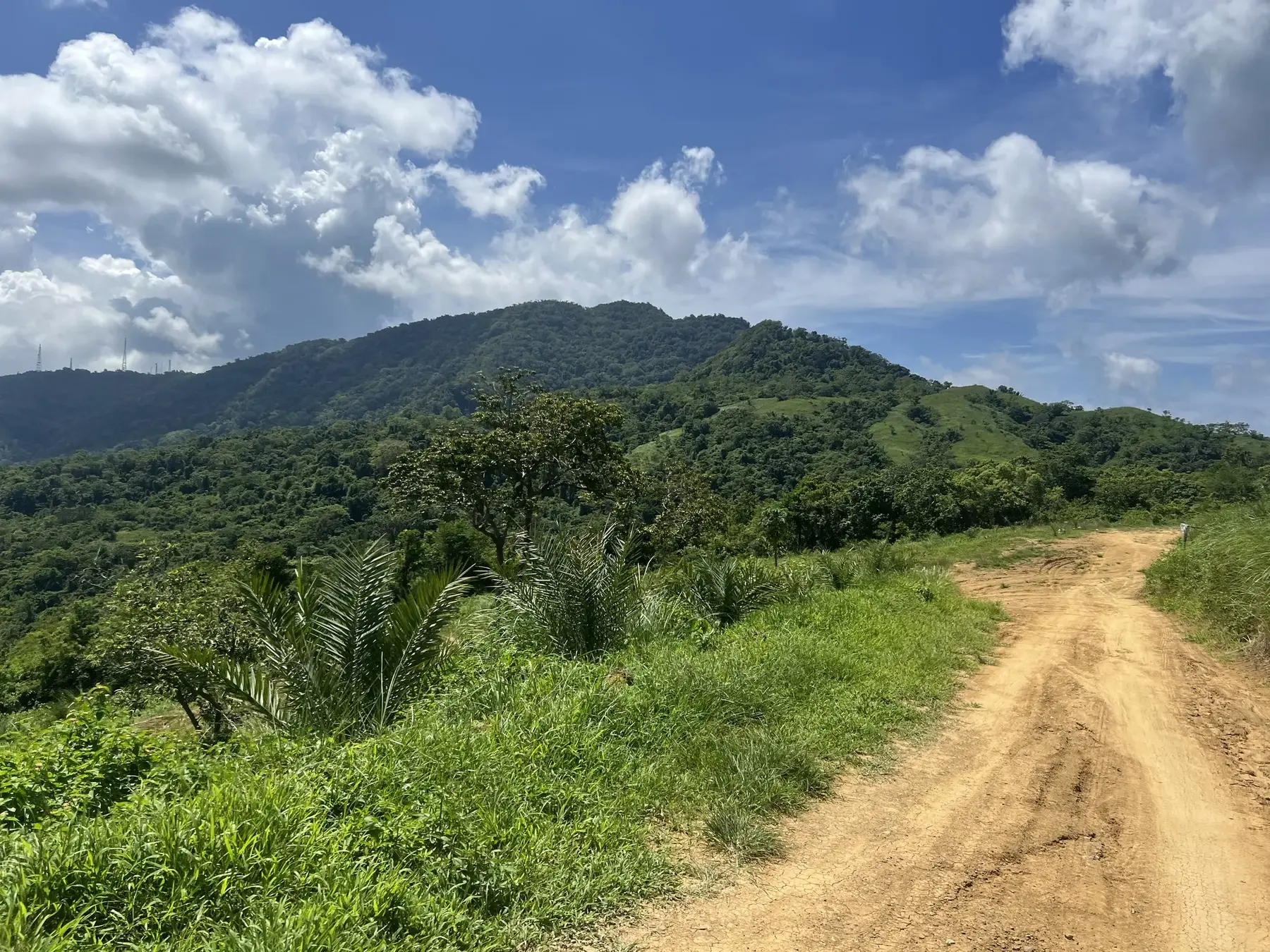 Wide green mountain view from the edge of the Sto. Domingo Highlands property