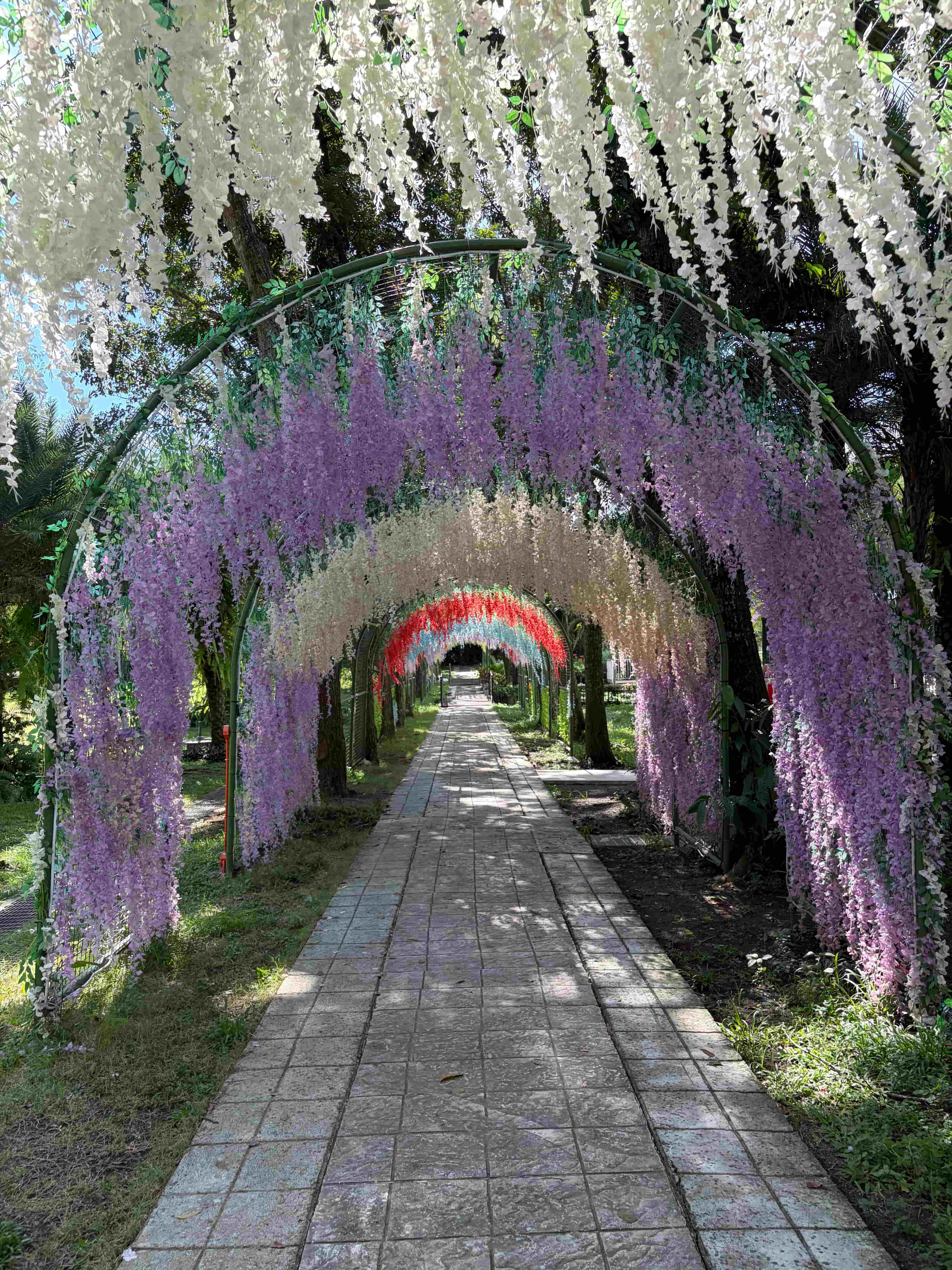 Vivian's Garden at Rancho Blanco